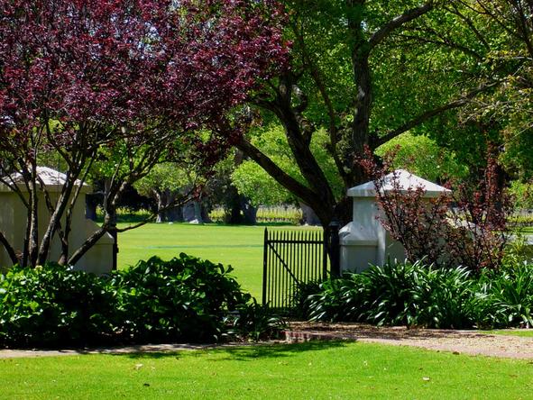 Constantia Uitsig - Garden